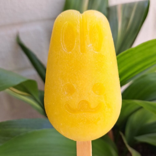 Pura Fruta